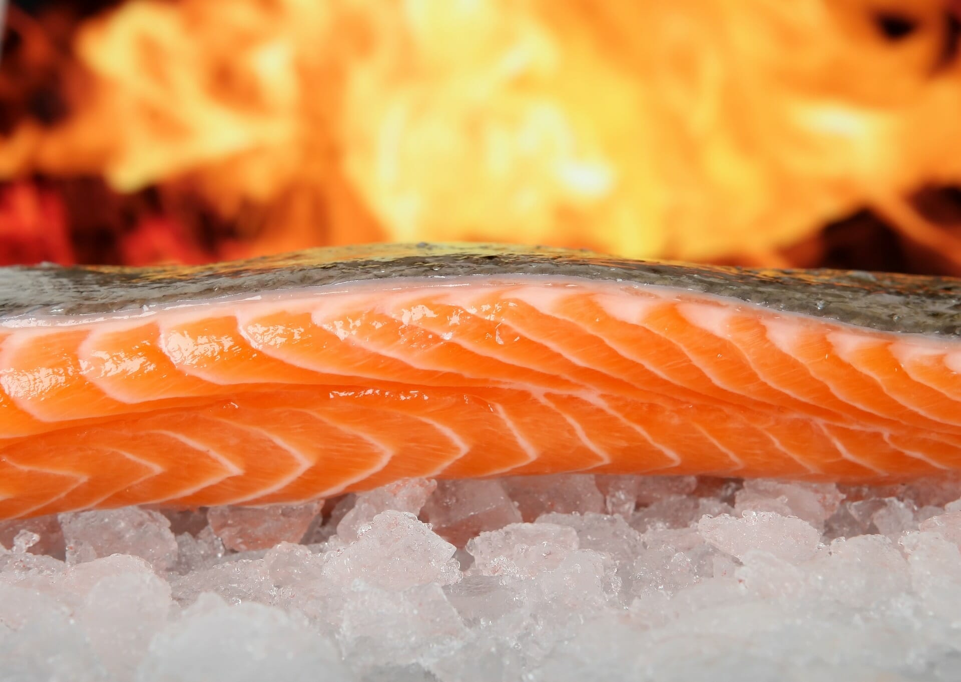 trozo de salmón sobre sal