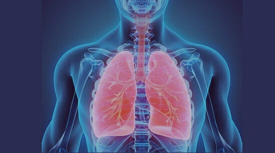 ilustración de unos pulmones